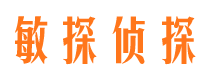 普定市私人调查